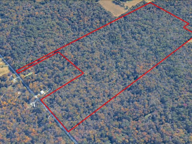 Land for sale in Marion, Williamson County