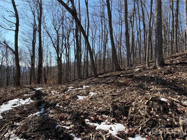 Land for sale in Mars Hill, North Carolina