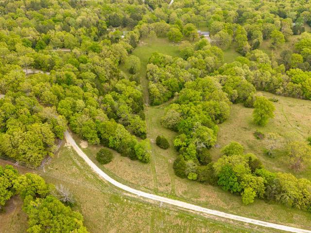 Land for sale in Gainesville, Missouri
