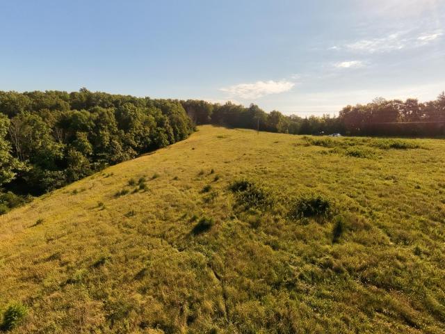 Land for sale in Gainesville, Missouri