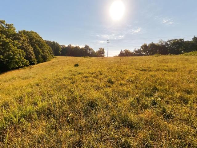 Land for sale in Gainesville, Missouri