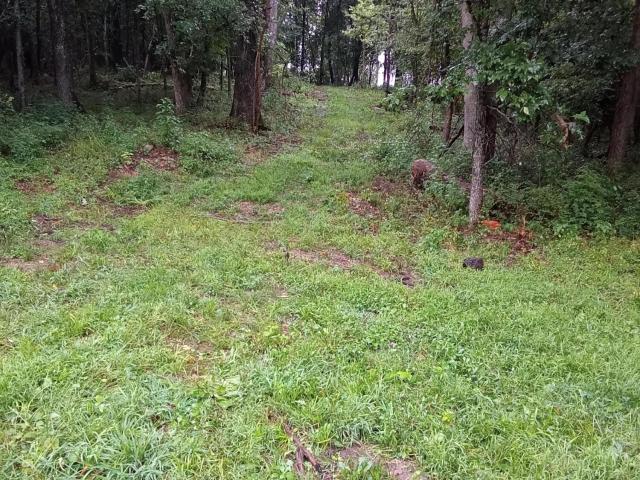 Land for sale in Buffalo, Missouri