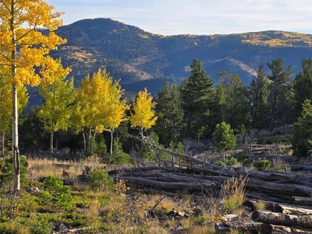 Land for sale in Clear Creek, Colorado