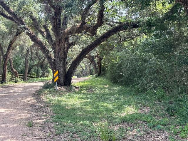 Land for sale in Cat Spring