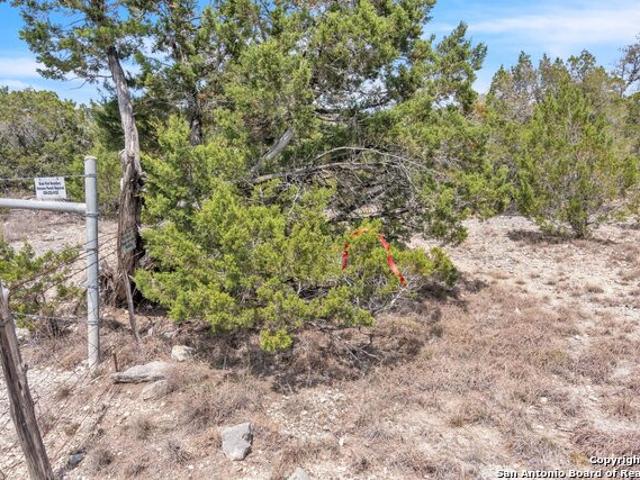 Land for sale in Concan