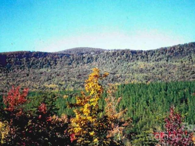 Land for sale in North Carolina