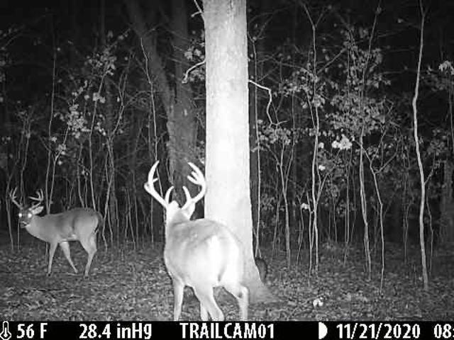 Land for sale in Ark