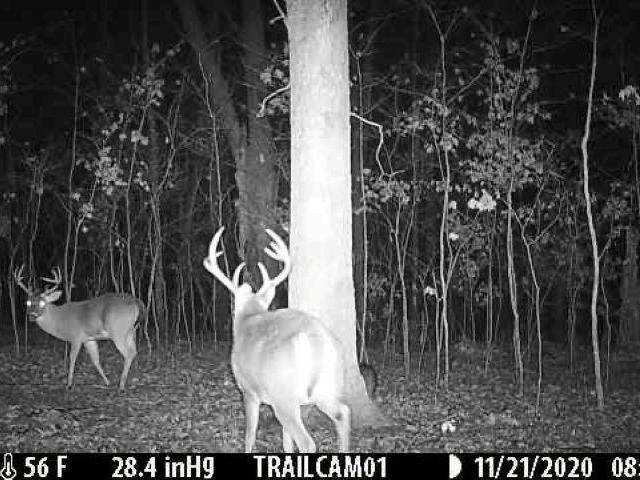 Land for sale in Ark
