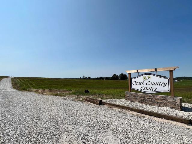 Land for sale in Mountain Grove, Texas County