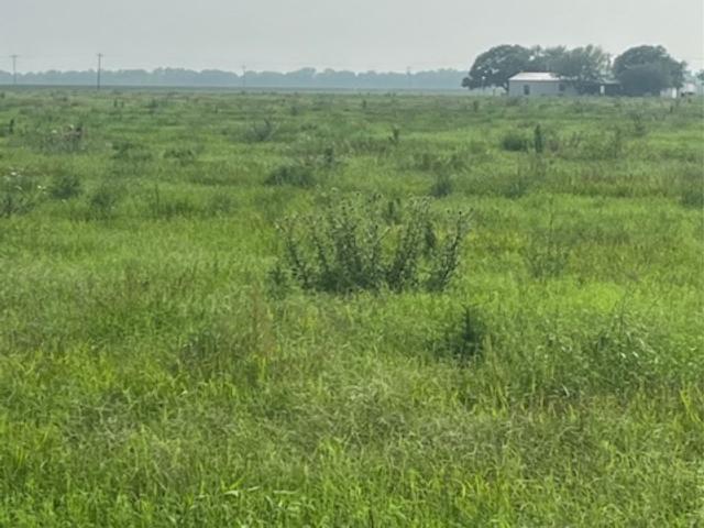 Land for sale in Altair, Texas