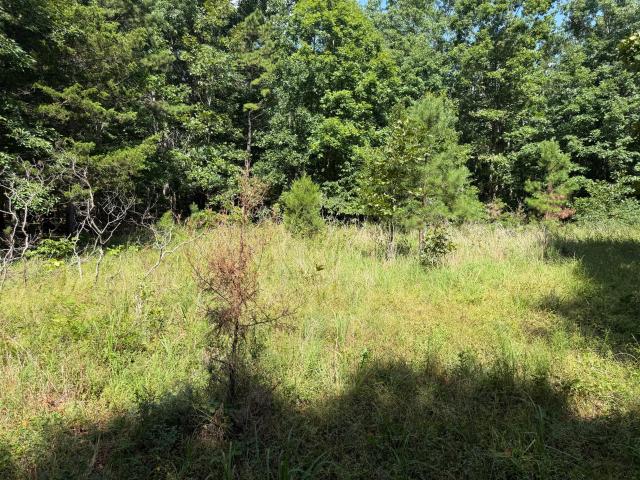 Land for sale in Raymondville, Missouri