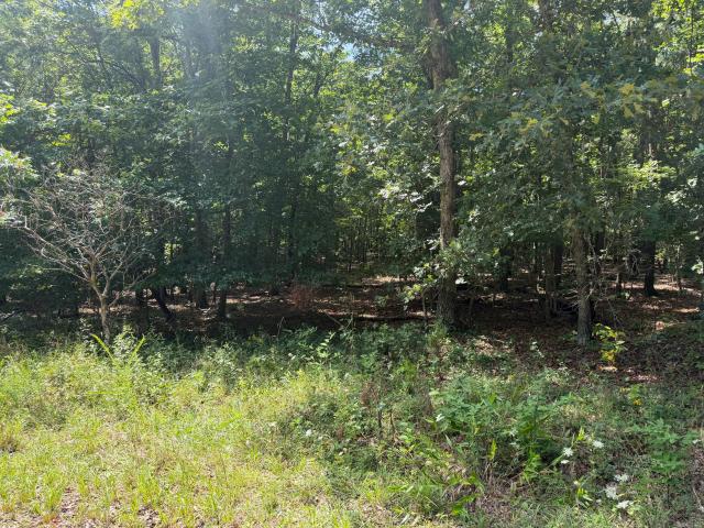 Land for sale in Raymondville, Missouri