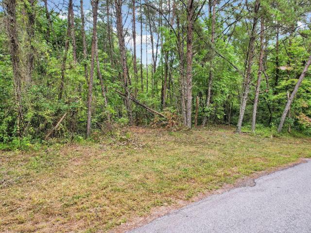 Land for sale in Tennessee