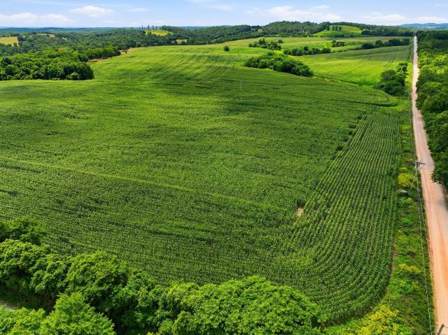Land for sale in Mountain Grove, Missouri