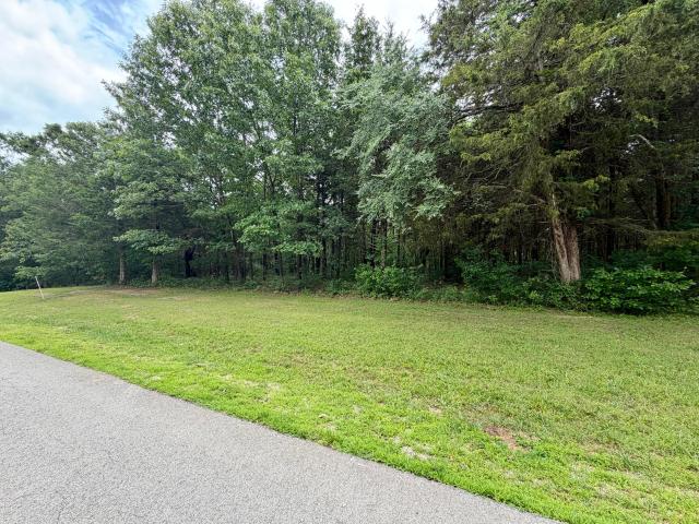 Land for sale in Stone, Missouri