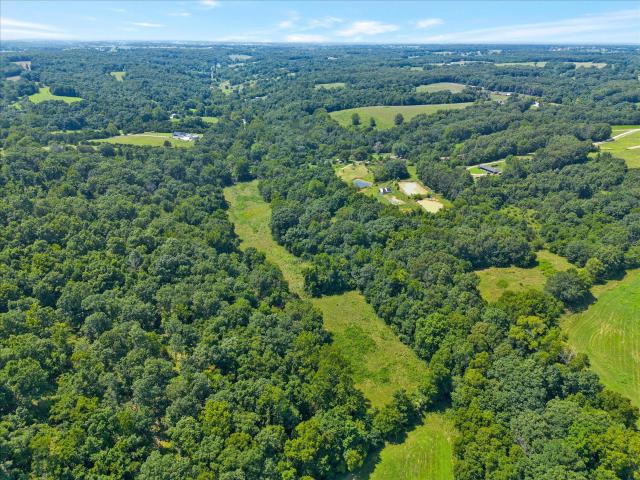 Land for sale in Fordland, Missouri