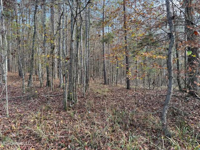 Land for sale in Mississippi