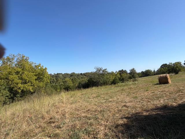 Land for sale in Buffalo, Dallas County