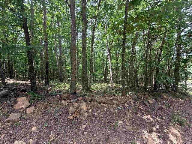 Land for sale in Ark