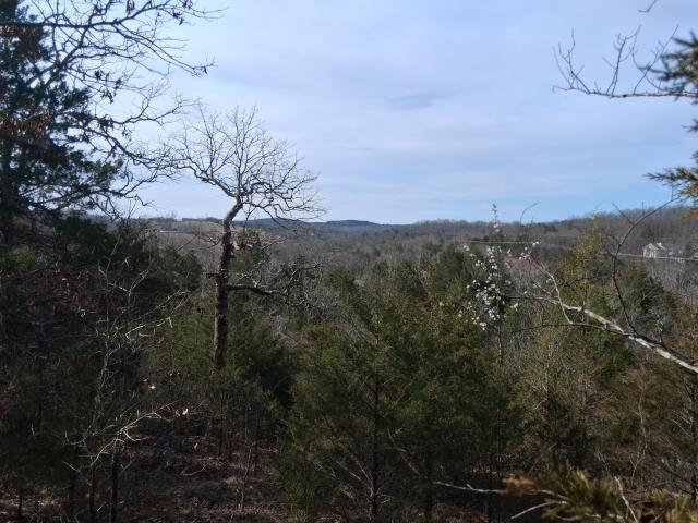 Land for sale in Branson, Missouri