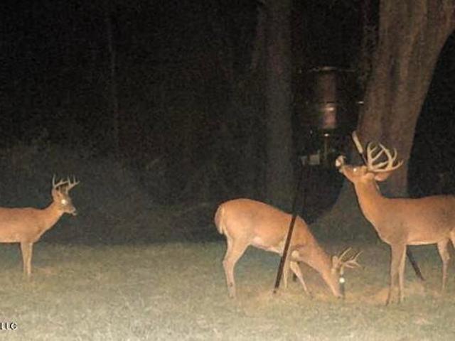 Land for sale in Tylertown, Mississippi