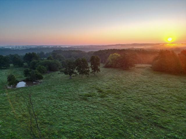 Farm for sale in Mountain Grove, Missouri