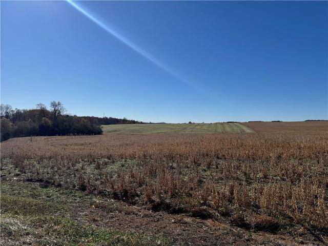 Land for sale in Dobson, North Carolina