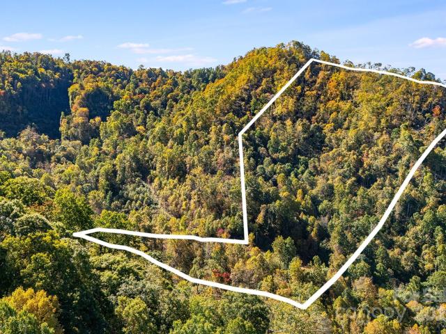 Land for sale in Mars Hill, North Carolina