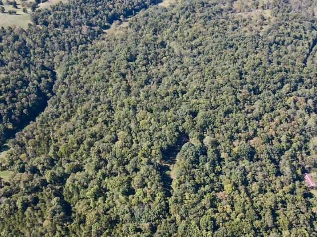 Land for sale in Harmony, Owenton