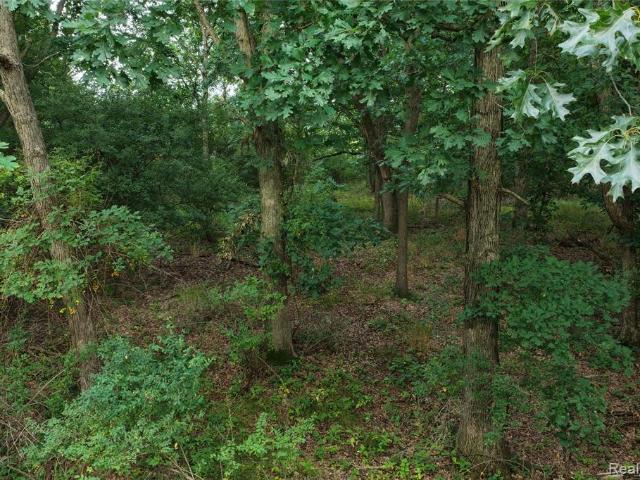 Land for sale in Chelsea, Michigan