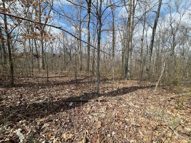 Land for sale in Dubois, Indiana