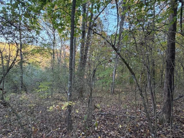 Land for sale in Nashville, Brown County