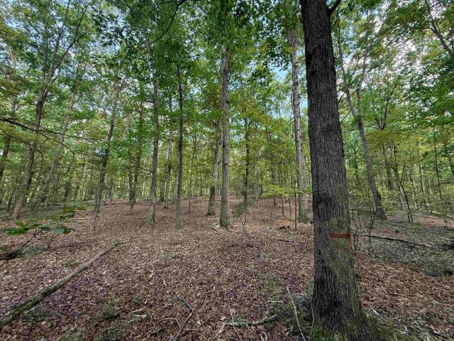 Land for sale in Tennessee
