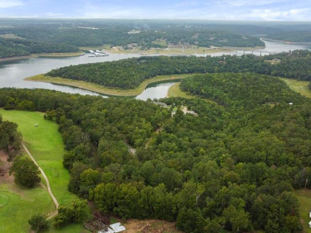 Land for sale in Theodosia, Missouri