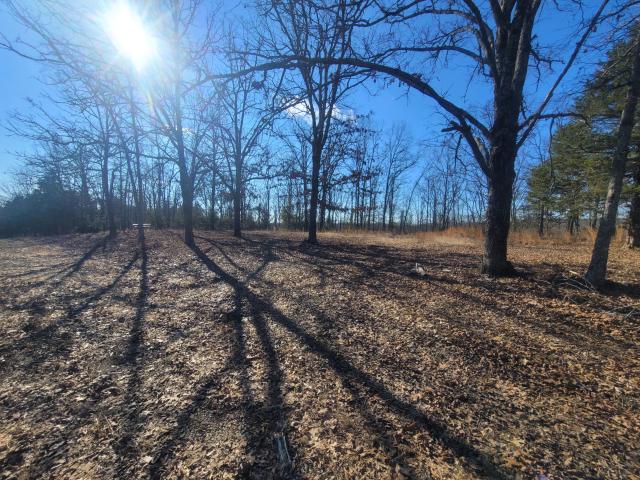 Land for sale in Ava, Missouri