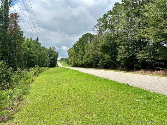 Land for sale in Dale, Alabama
