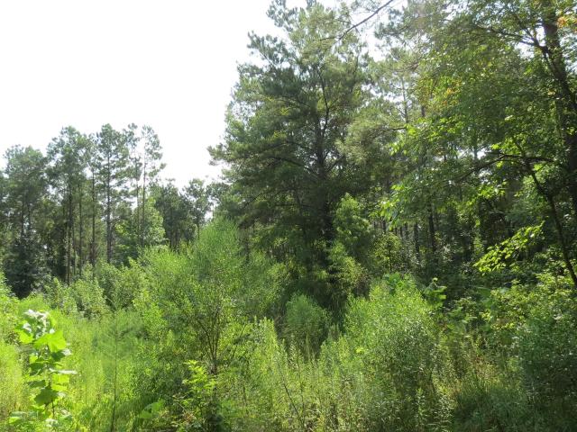 Land for sale in Ark