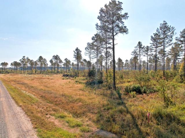 Land for sale in Waterproof, Carlisle