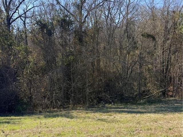 Land for sale in Pollock, Grant Parish