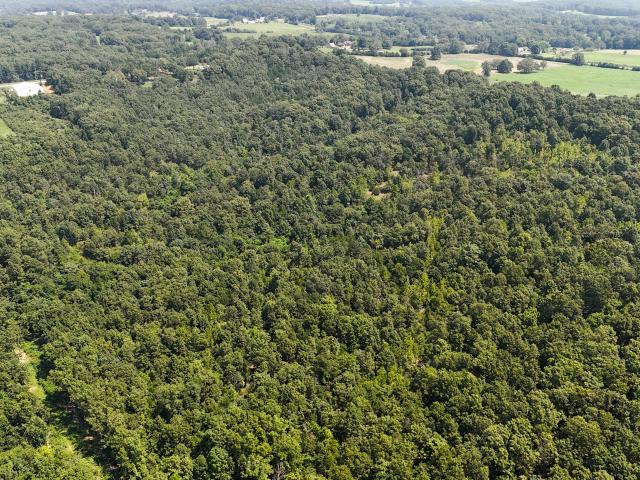 Land for sale in Cabool, Missouri