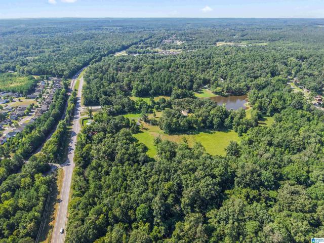 Commercial for sale in Calera, Alabama