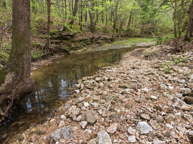 Land for sale in Licking, Missouri