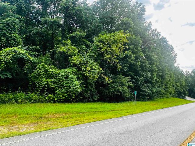 Land for sale in Lineville, Alabama