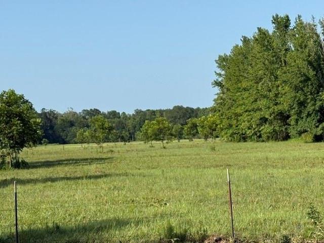 Land for sale in Homer, Louisiana