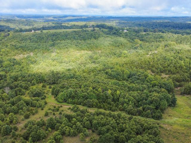 Land for sale in Ava, Missouri