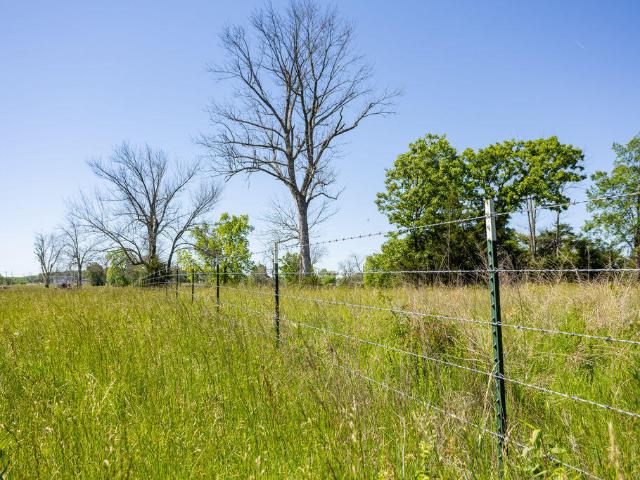 Land for sale in Bolivar, Missouri