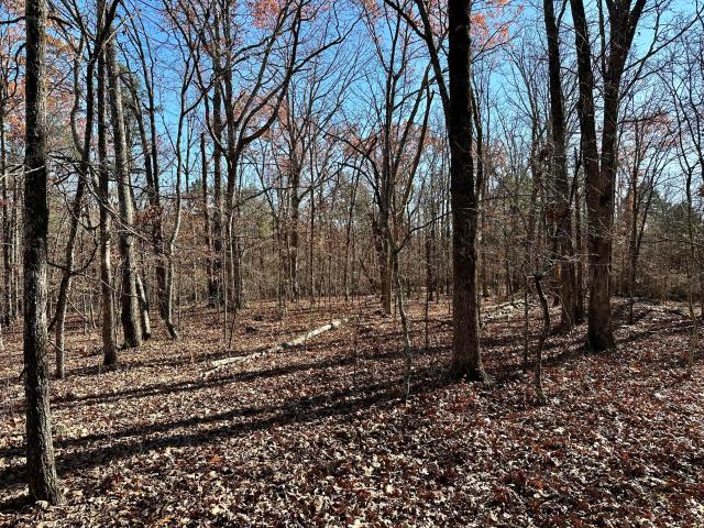Land for sale in Ellsinore, Carter County