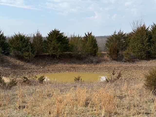 Land for sale in Cabool, Missouri