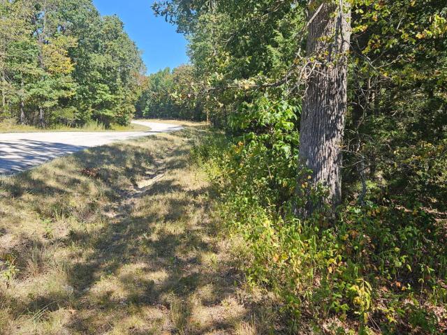 Land for sale in Hickory, Missouri