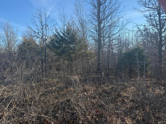Land for sale in Cabool, Missouri
